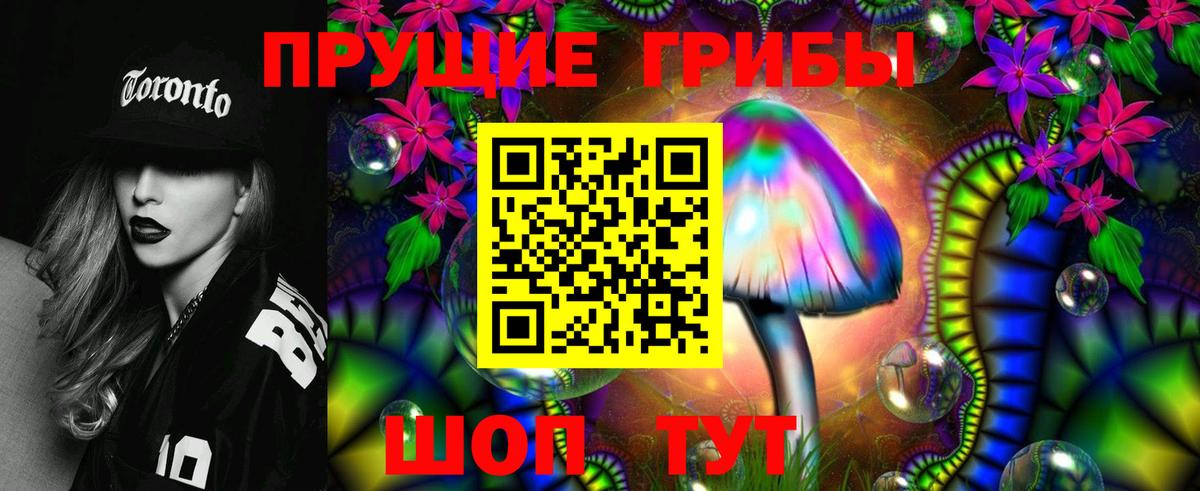 Псилоцибиновые грибы Cubensis  Вход с VPN  Галлюциногенные грибы GOLDEN TEACHER  Елабуга 